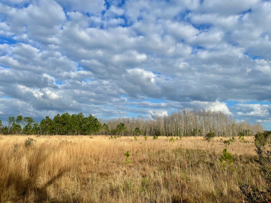 Old Florida Ranch Recreational Land