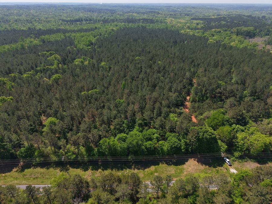 225.48 Acres - Picketts Bridge Estates