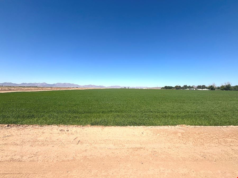 Excellent Vegetable Farmland: ±110 Water Acres in Wellton