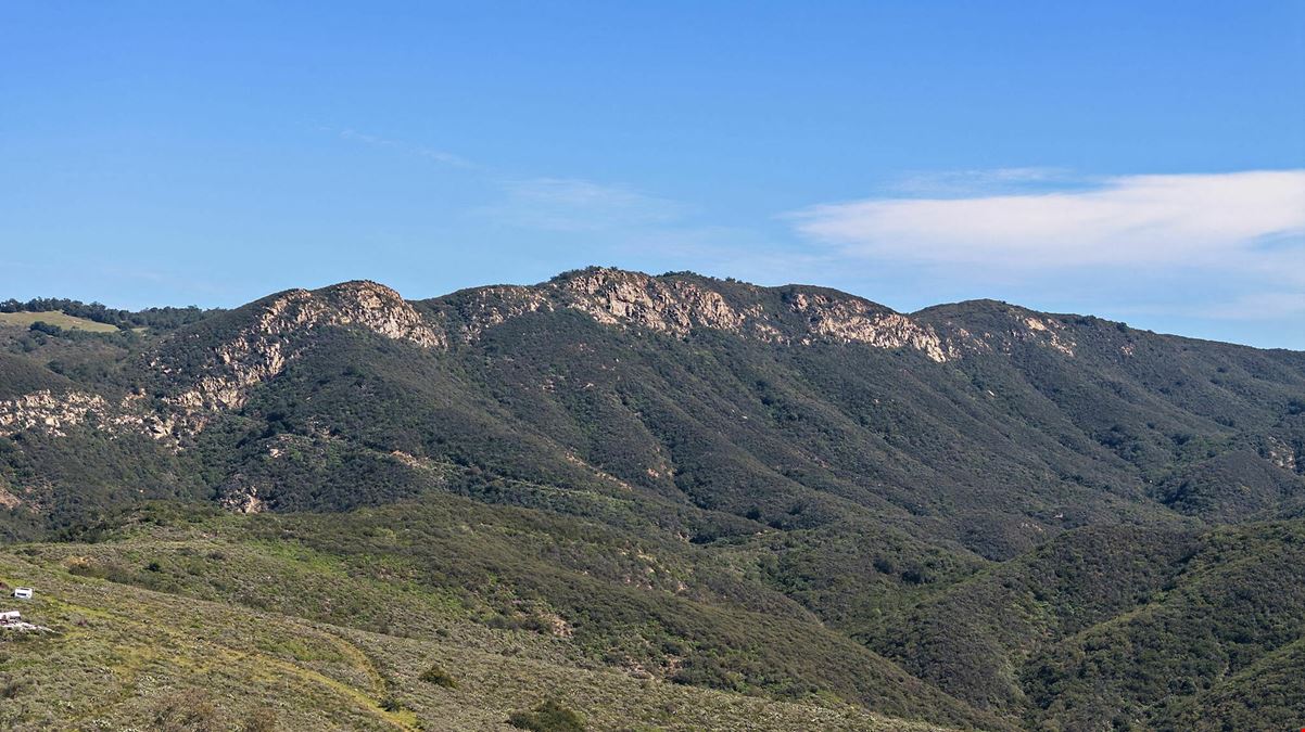 Ortega Summit