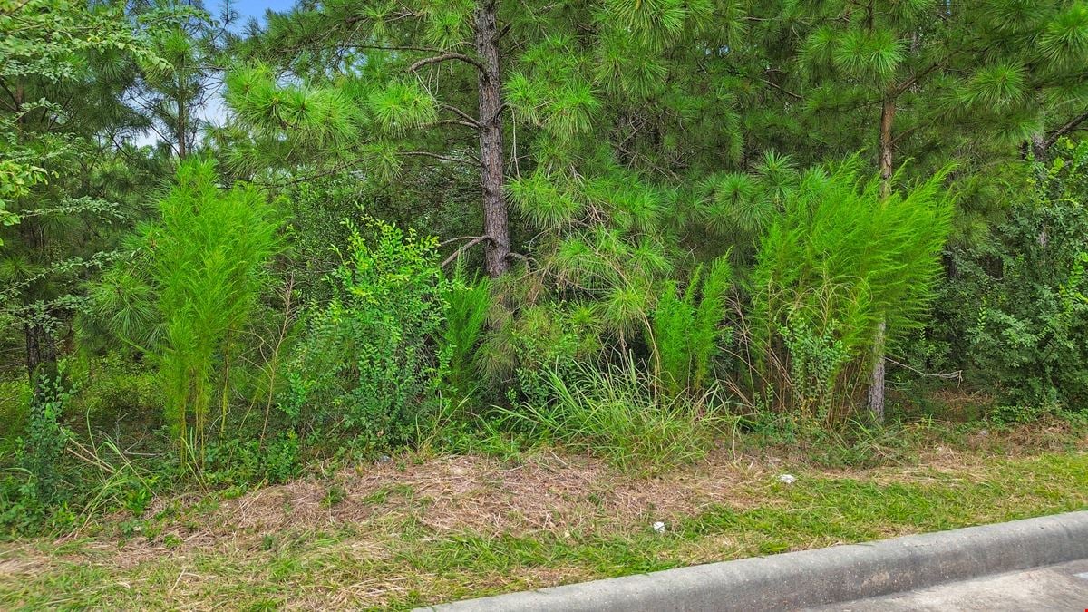 FM 1960 W Corridor/ Deerbrook Park Blvd – ±6 Acres Ready for Commercial or Mixed-Use Growth