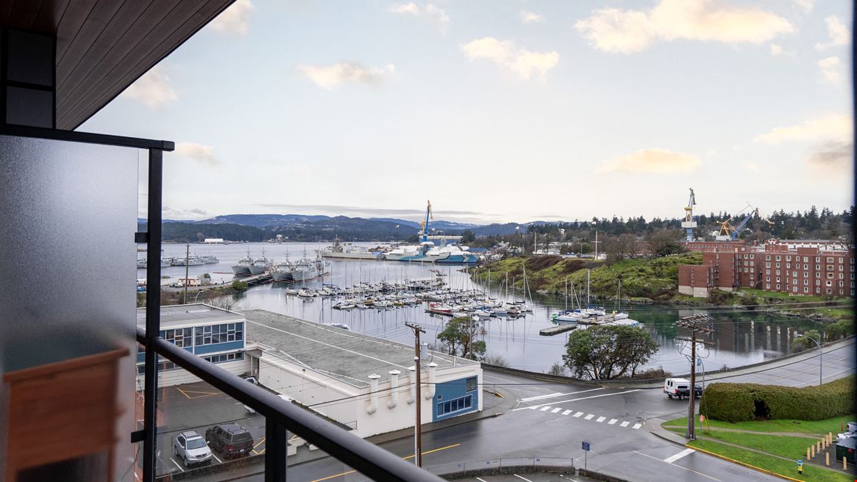 Harbourscape