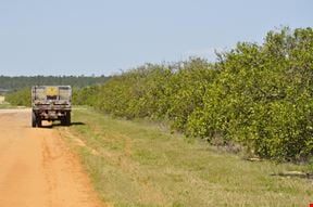 Lake Wales Residential 10 acre Development