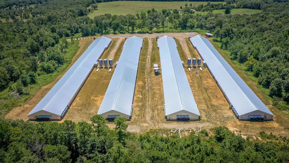 Mena AR Broiler Chicken Farm
