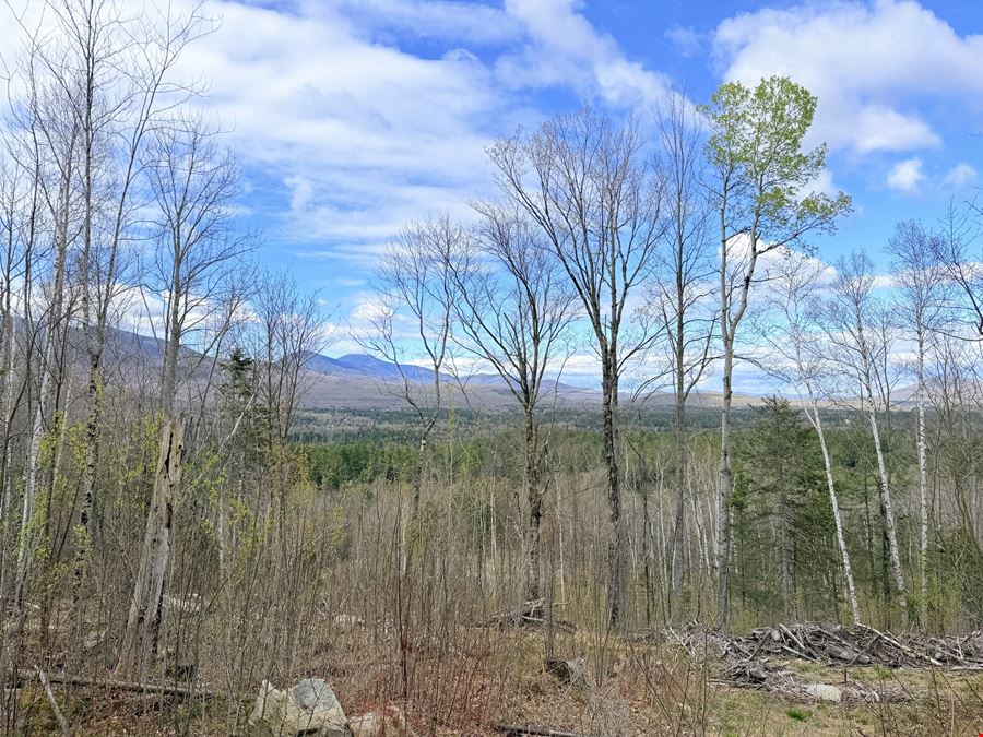 Route 3 North, Carroll, NH (lots 43 & 46)