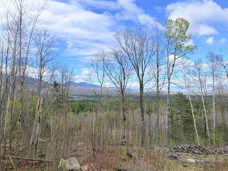Preview of VacantLand space for Sale at 00 Route 3 North
