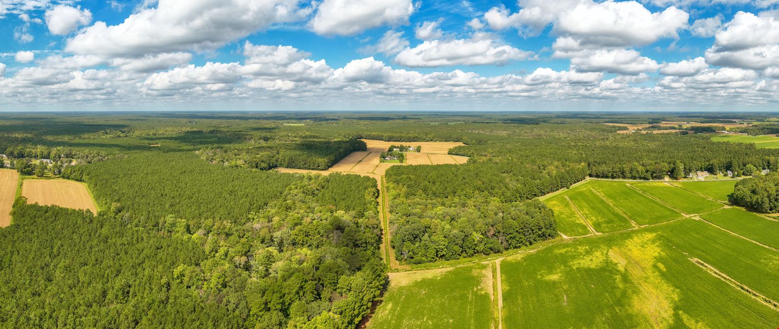 Riley Farm - 109.47 Acres of Ag Land