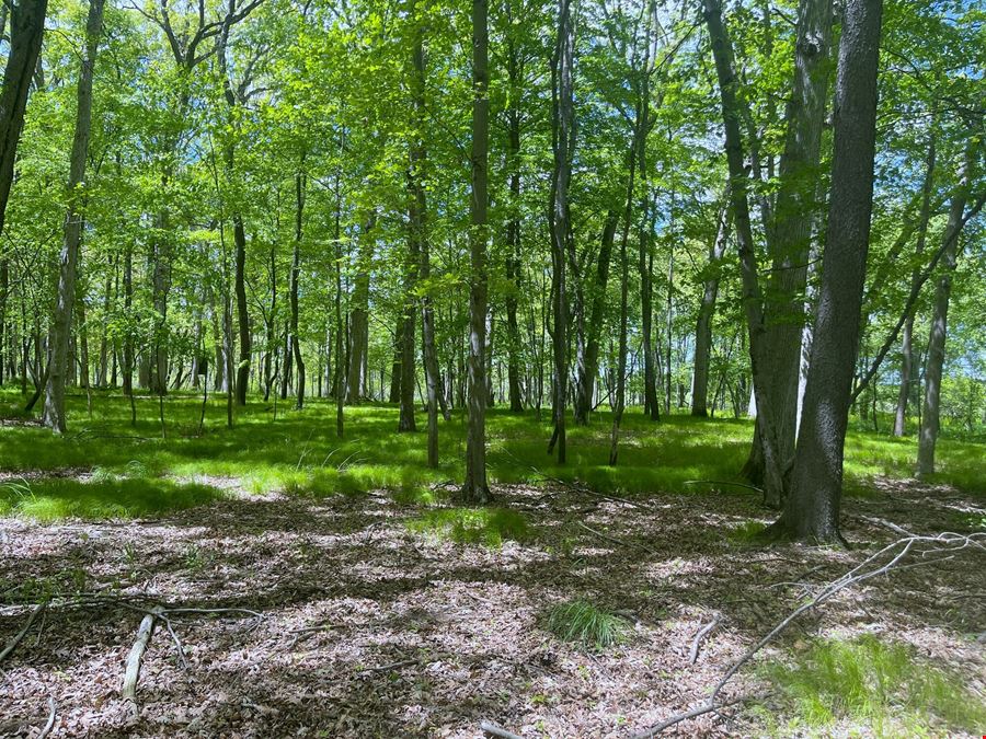 31.4 Acres of Private Recreational Land – Grass Lake/Sharon Township