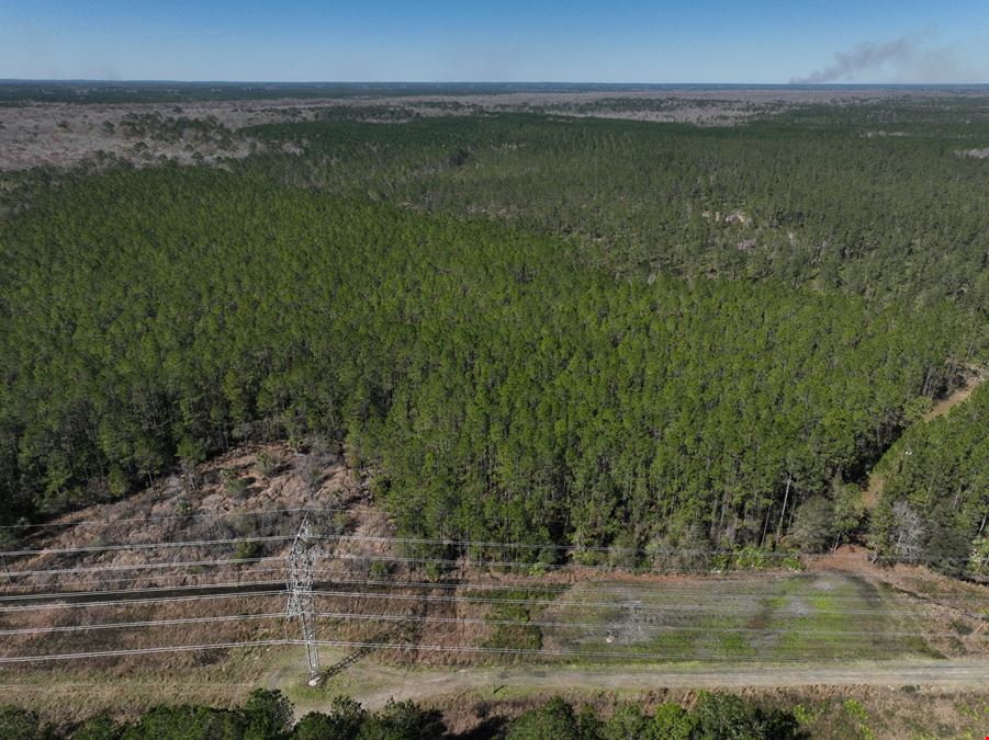 Palatka 356 Ac Development Tract