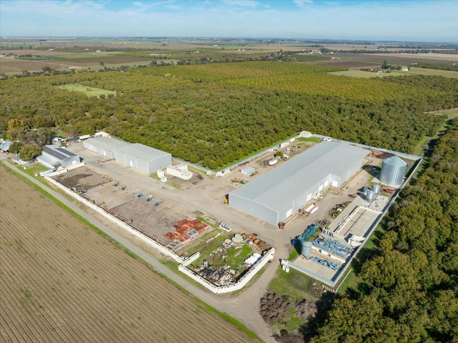 Organic Walnut Orchard & Processing Facility
