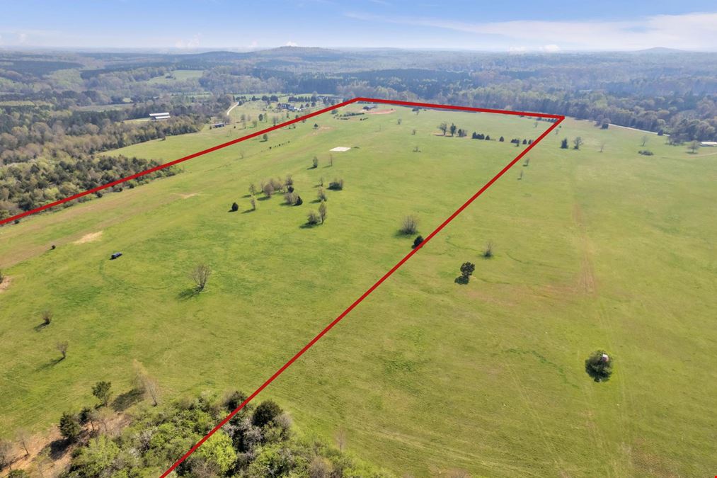 65 Acres with Former Grass Airstrip in Gray Court