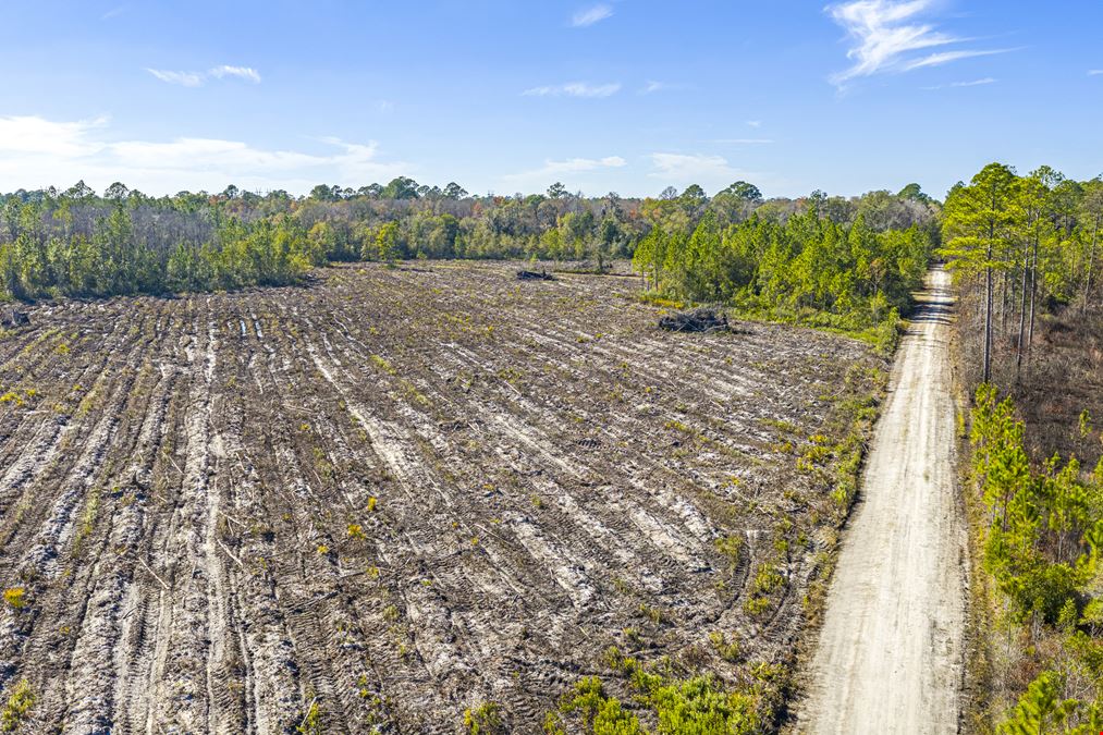 Clay County Timber and Recreation