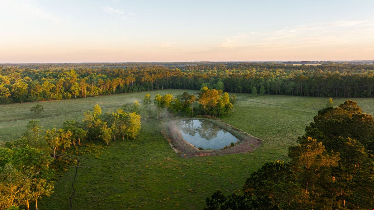 24795 County Road 32