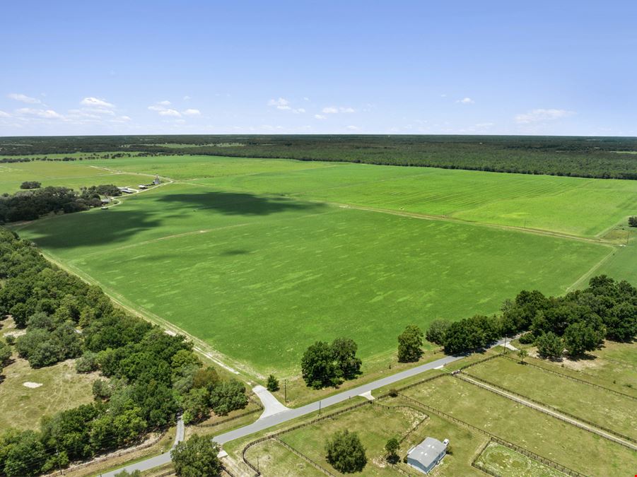 688± Acre Turn Key Farm Operation in Marion County