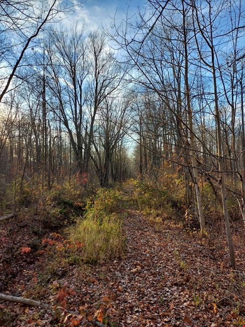 Vacant Lots on Magnolia Drive