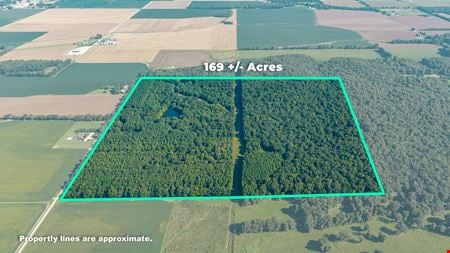 Preview of VacantLand space for Sale at County Road 307