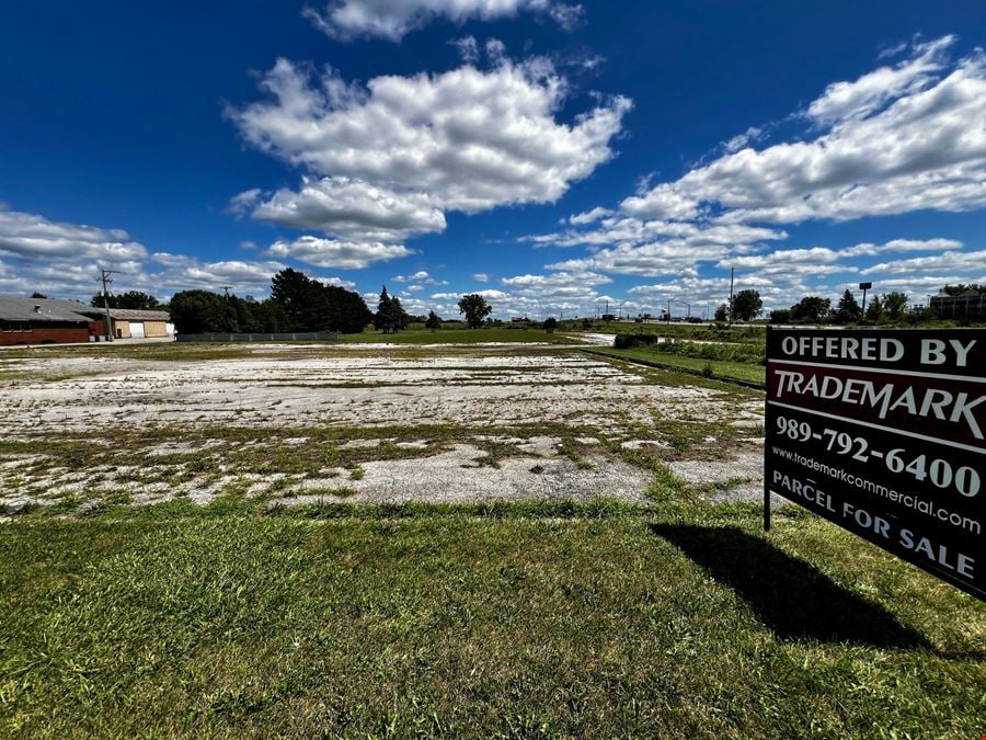 Buena Vista M-46 at I-75  Development Land