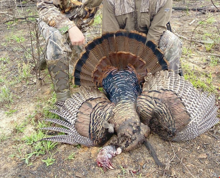 Cowpen Hunting Tract