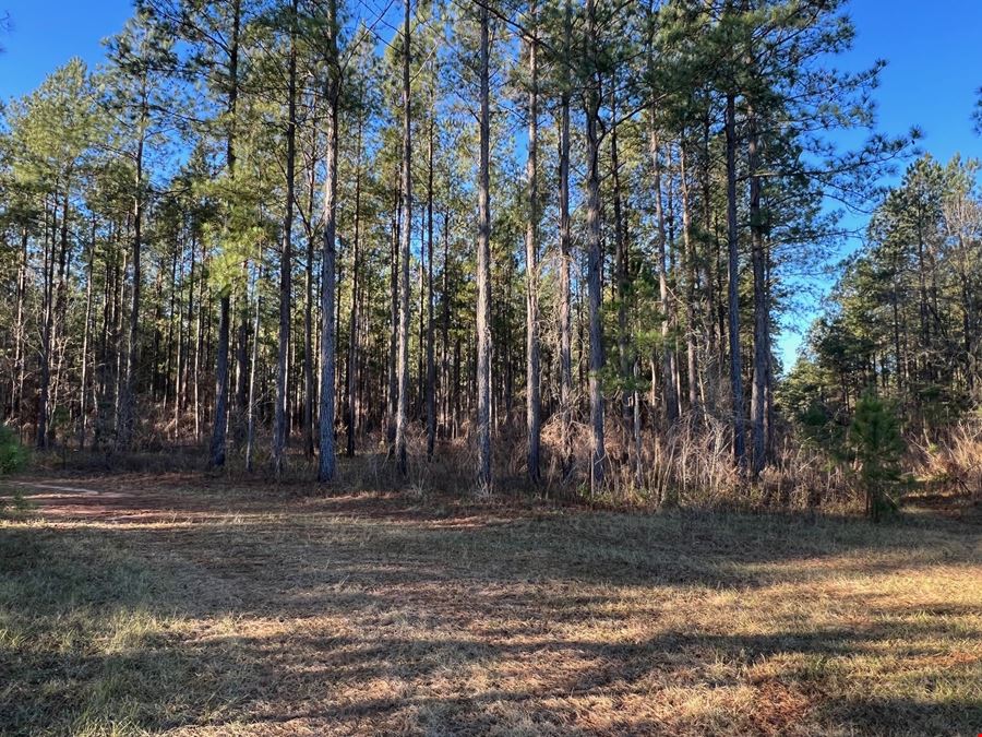 Lily Pad Ranch 1,472± Acres in Northwest Florida – Premier Recreational & Timber Investment Tract