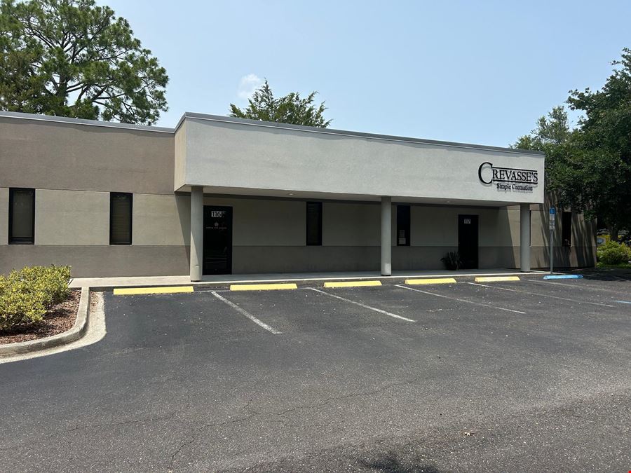 Professional Office
