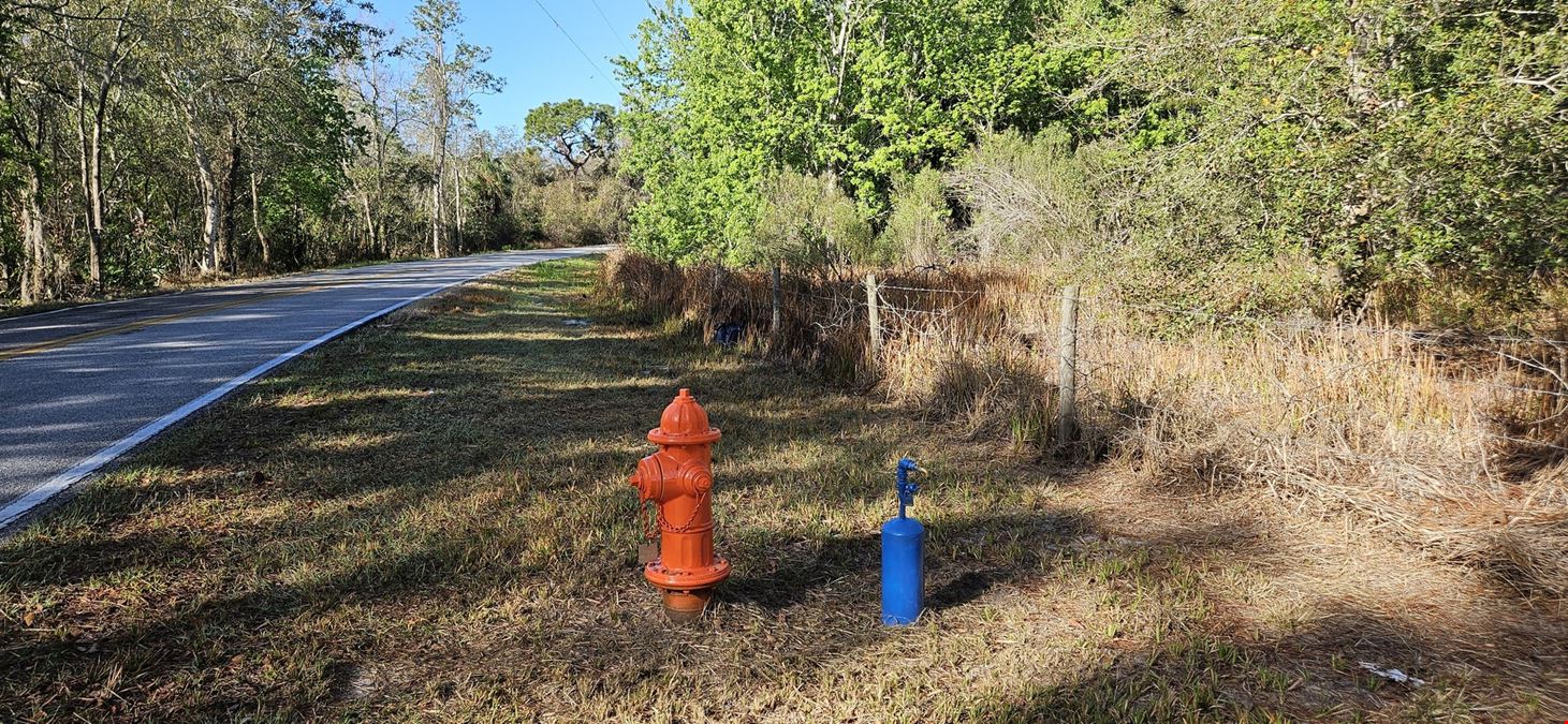 47± Scenic Wooded Acres with Trails, Wildlife, and Lake Access