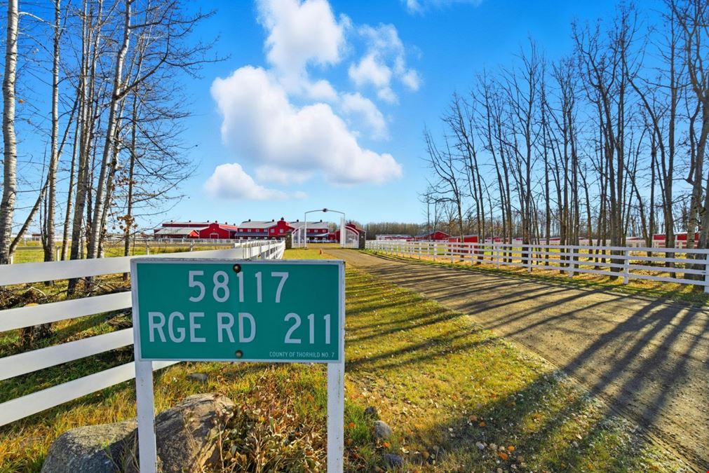 World-Class Equestrian in Central Alberta (Canada)