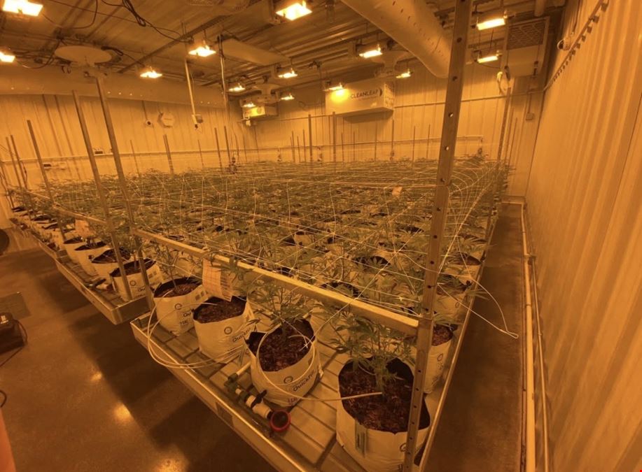 Bay City - Former Operating and Turnkey Cultivation Facility