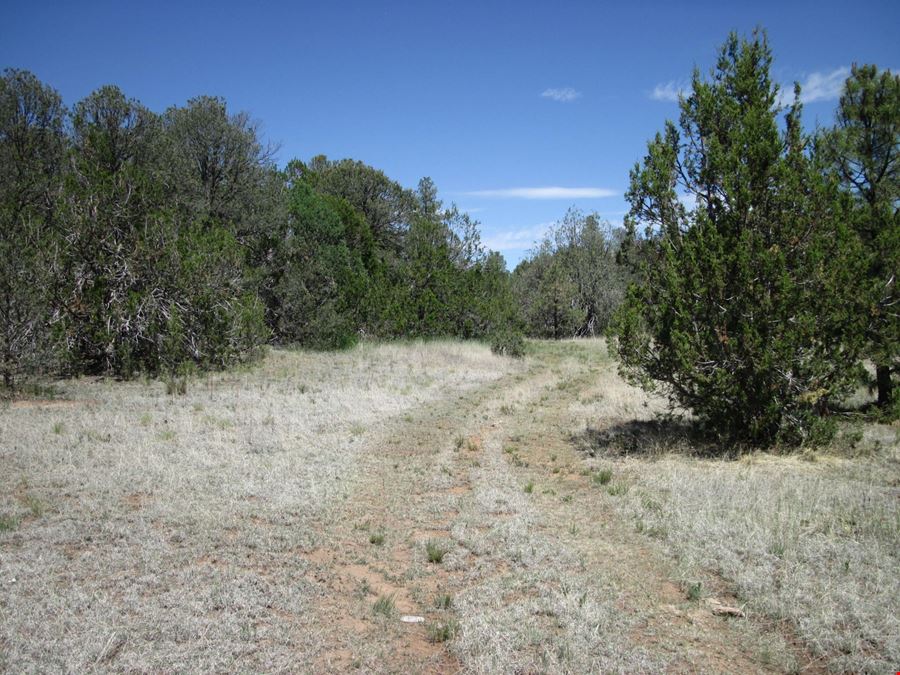 156 Jesse James Rd