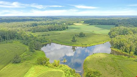 Preview of VacantLand space for Sale at 63 Acres Al Hwy 75