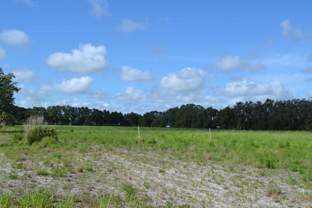 Prime Commercial Land on US Hwy 27 at Dundee Rd