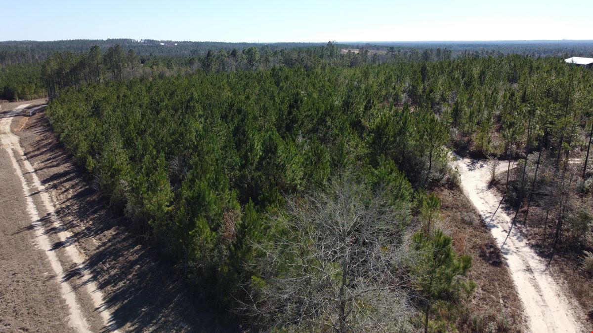 Treetop Ridge Road