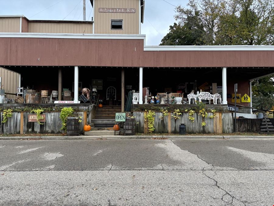 207 N Mason, Mason Mi 