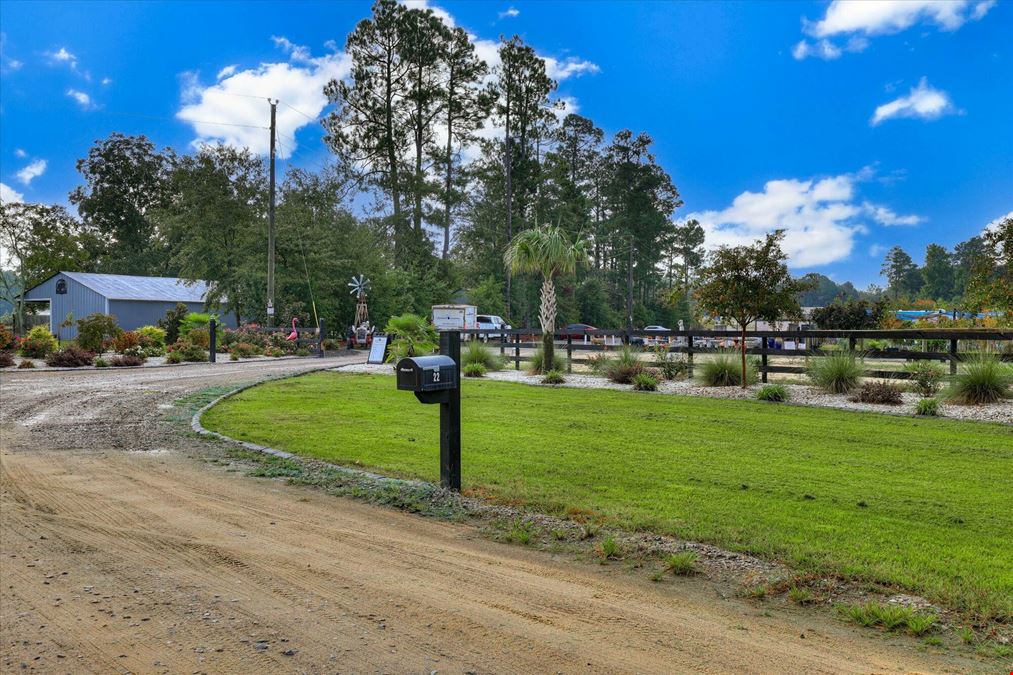 Southern Carolina Palms & More - Nursery & Landscape