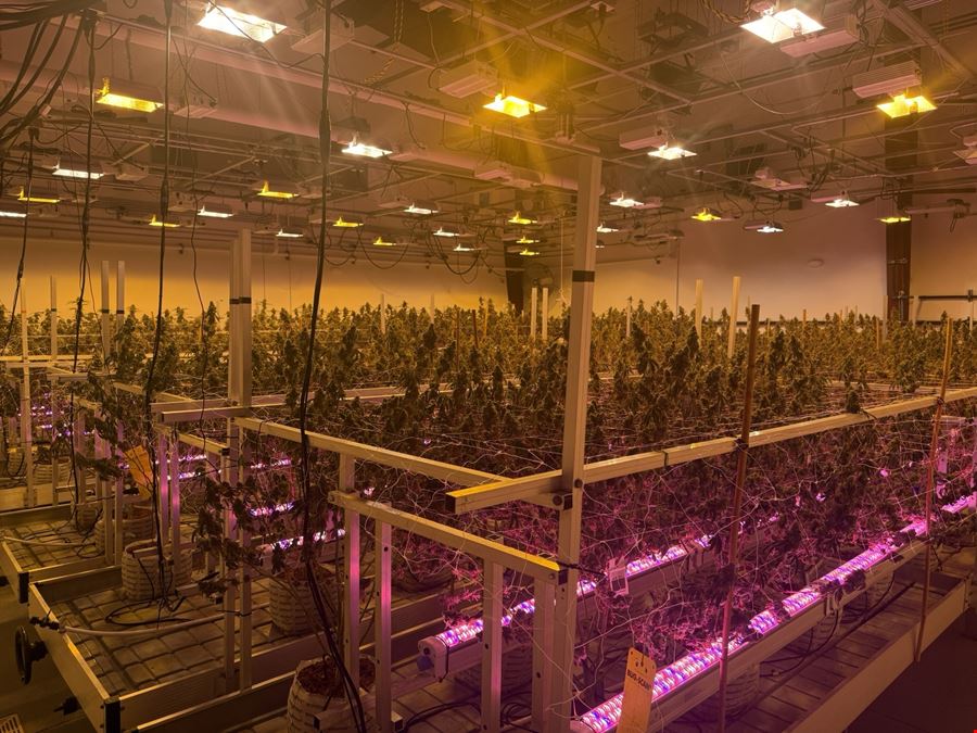 Clare - Operating Cultivation/Processing Facility