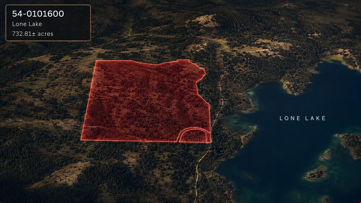 732.81± AC Legacy Lone Lake Timberland