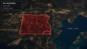 732.81± AC Legacy Lone Lake Timberland