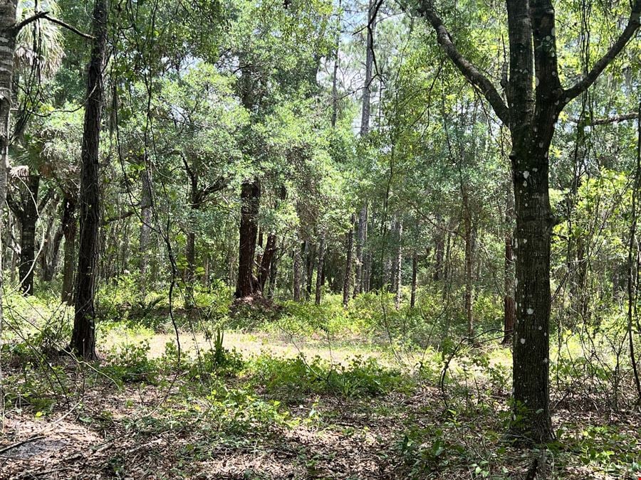 M-2 Industrial Land | Titusville +/- 4.46 AC