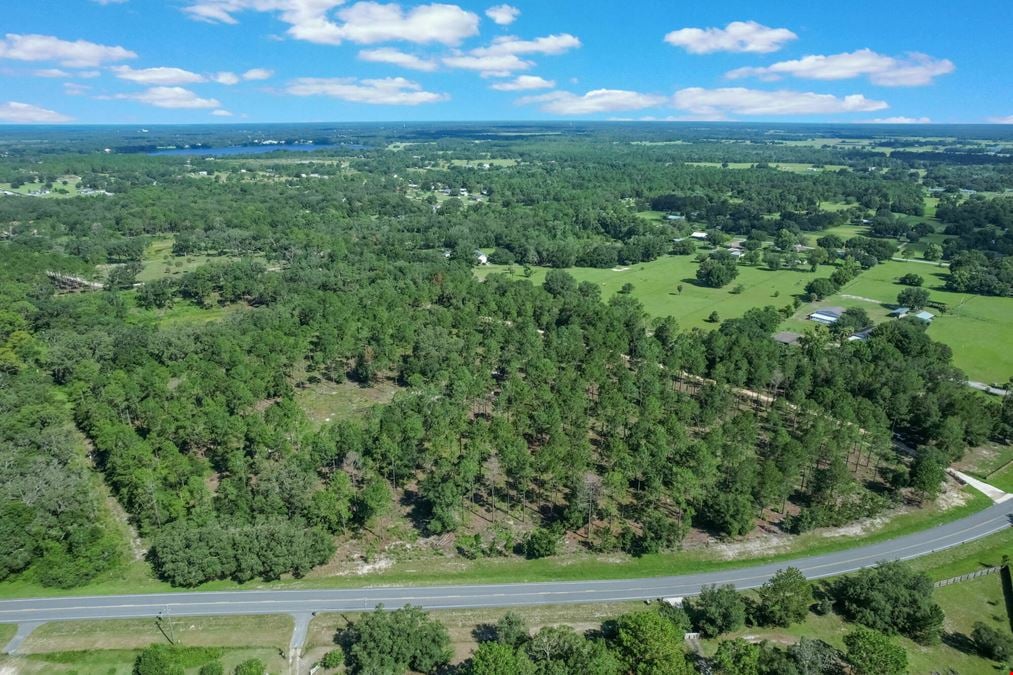 C.R. 439 - 20 Acres