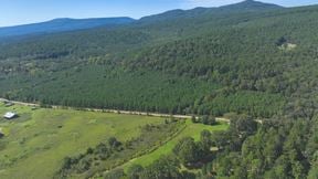 Slo Fork Timber & Hunting