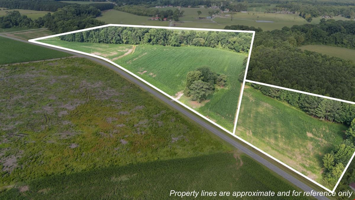 Smithfield, NC- 144 acre tract