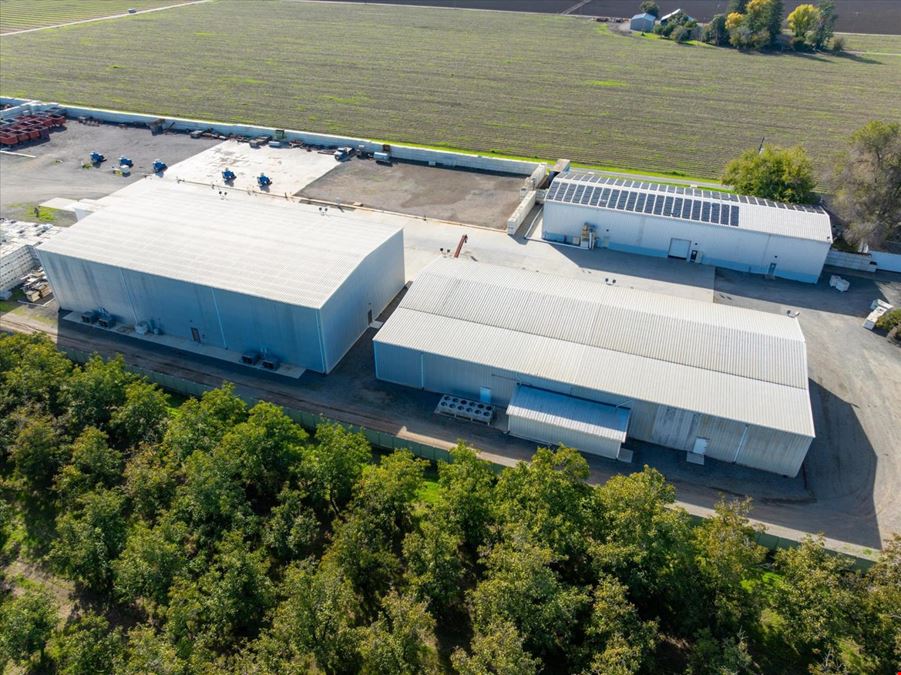 Organic Walnut Orchard & Processing Facility