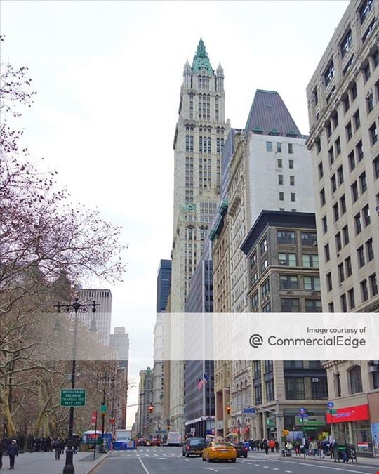 The Woolworth Building