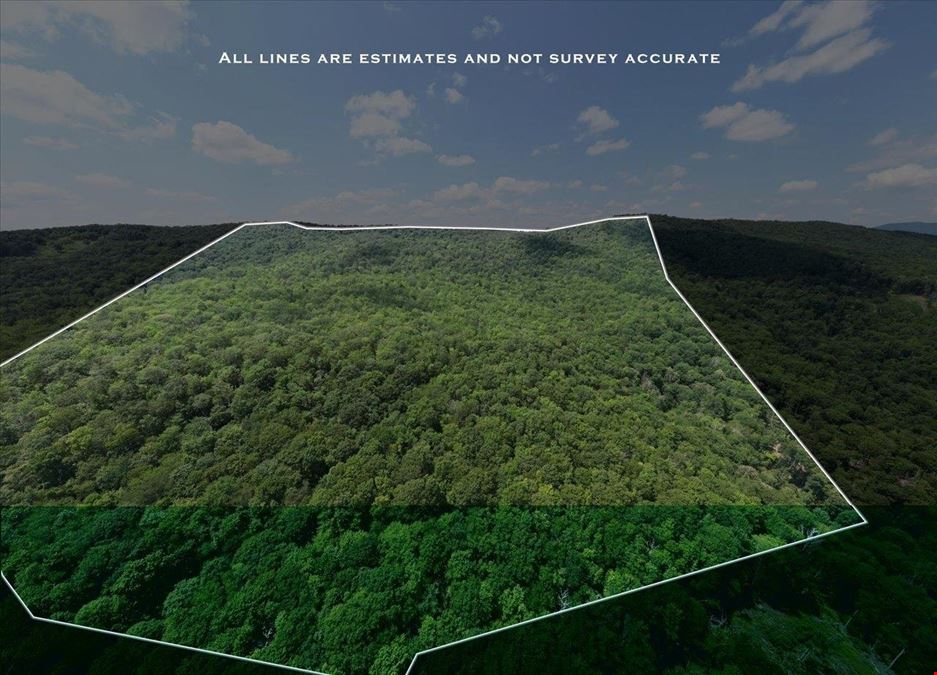 173 ACRES MOUNTAIN-SIDE LAND