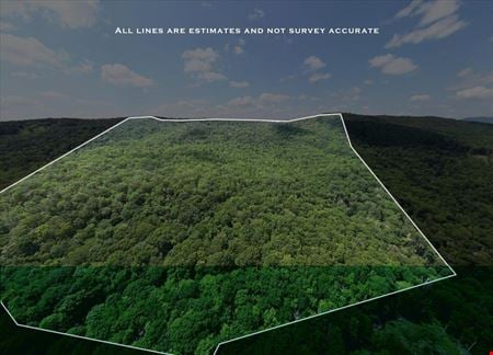 Preview of VacantLand space for Sale at tbd Halterman Hollow Lane