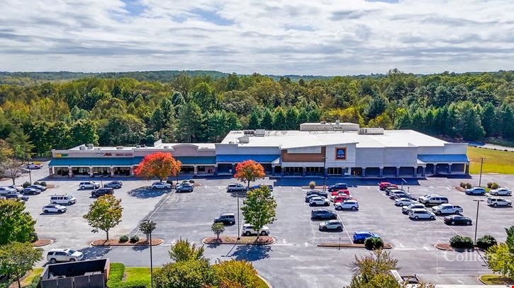 Landrum Retail Center Big-Box and Shop Space Available