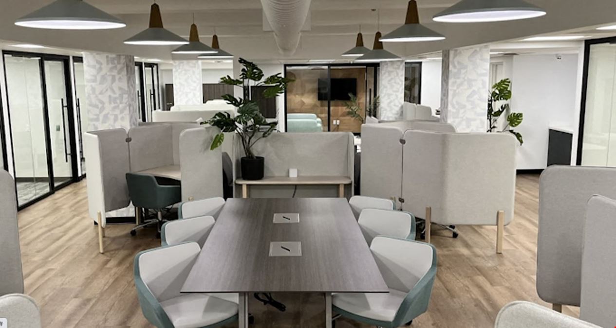 Moss Wellness Workplace - MOSS Wellness Workspace