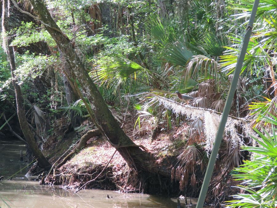 Otter Creek Farm & Recreational Tract
