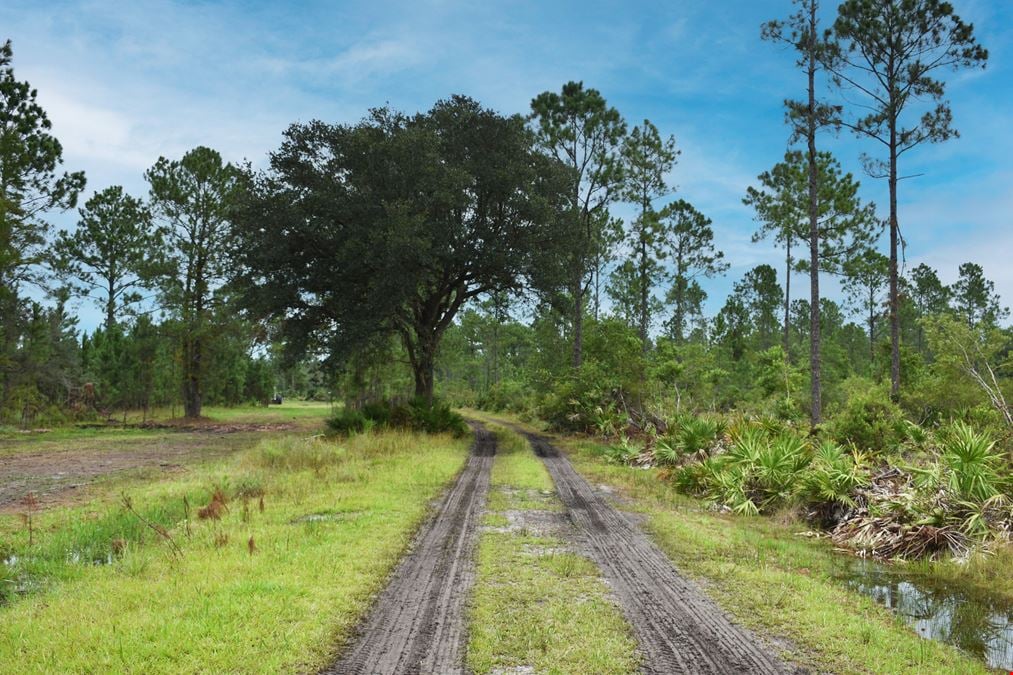 Flagler County Land Investment and Recreational Tract