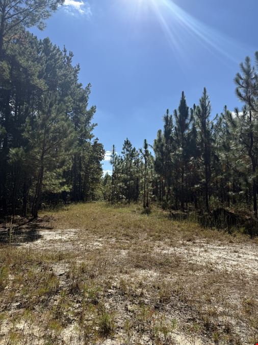 Timber & Recreation Tract
