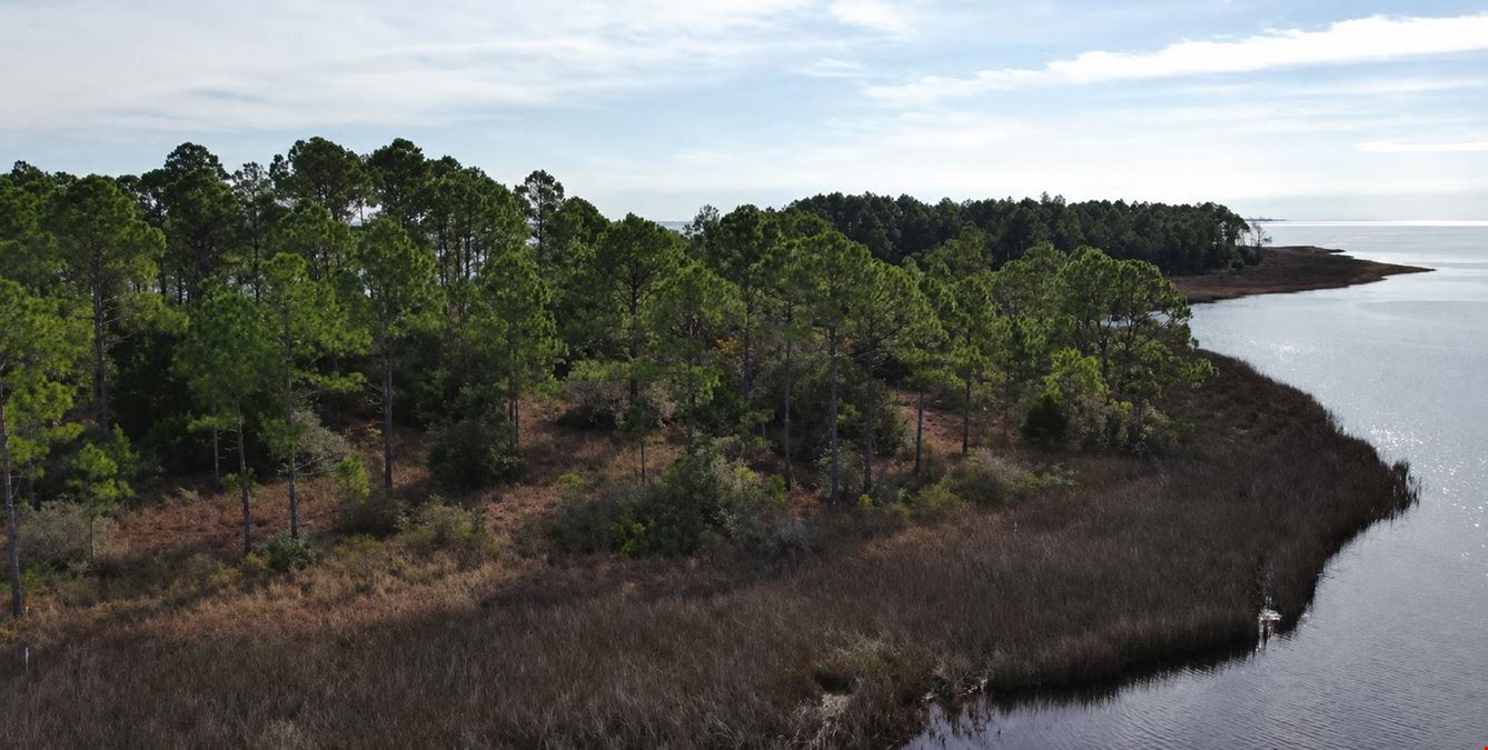 Timber Island 35+ Acres on the Carrabelle River